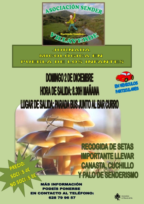 cartel sende 02DICIEMBRE copia