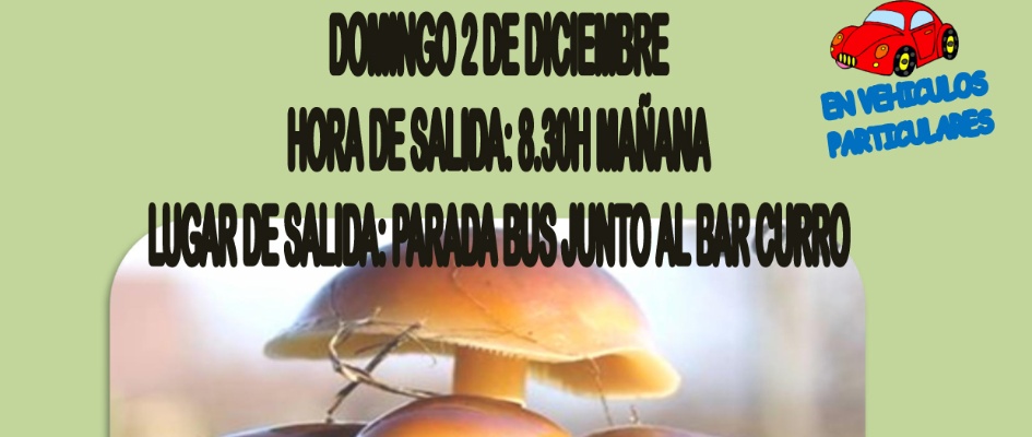 cartel_sende_02DICIEMBRE_copia.jpg